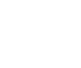 Estudio Veridika